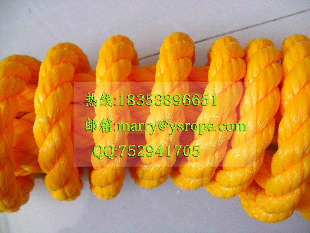 PP danline rope（3-40mm）