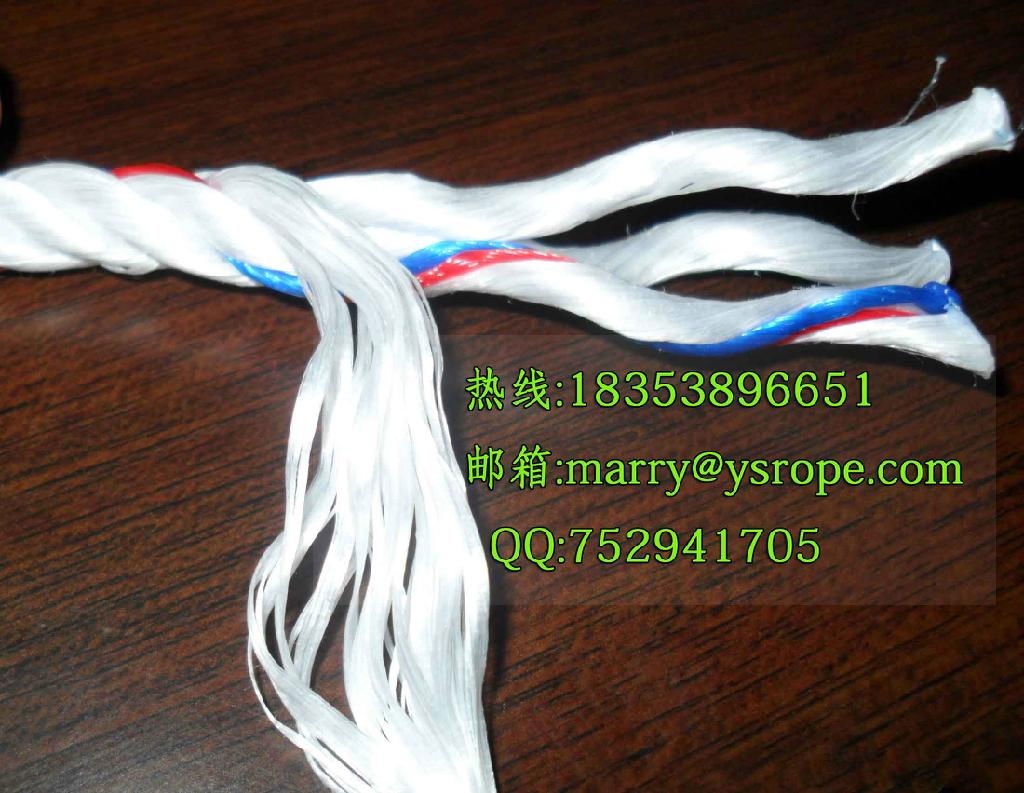 PP danline rope（3-40mm） 2