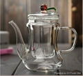 500ml Classic Glass Teapot With Coil Filter - Borosilicate Glass 3