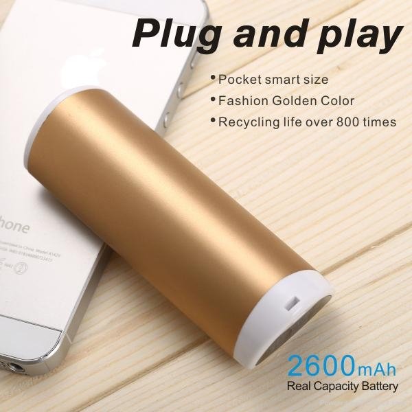 Small cute  2600mAh Portable power bank with Keychain 4