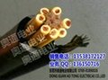 RVVG多芯电缆手柄控制电缆起重机电缆