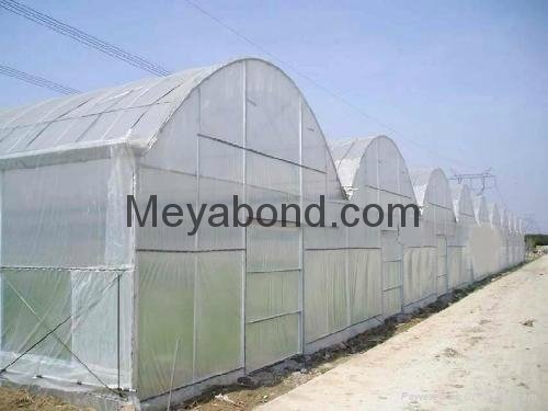 100% virgin HDPE anti insect netting 2