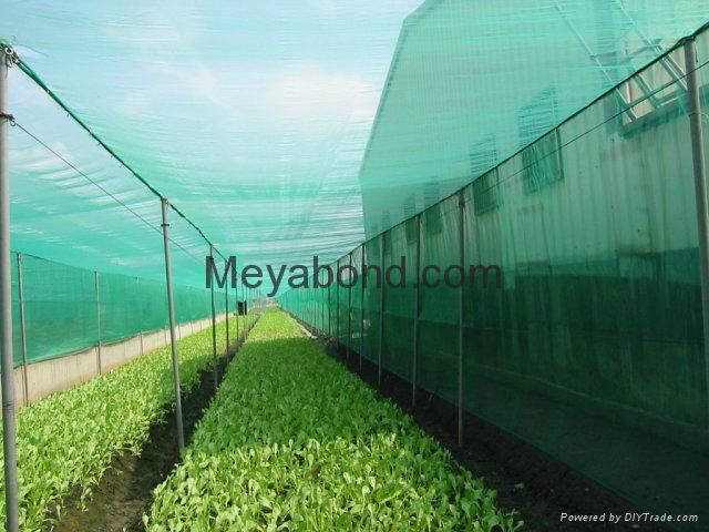100% virgin HDPE anti insect netting 4