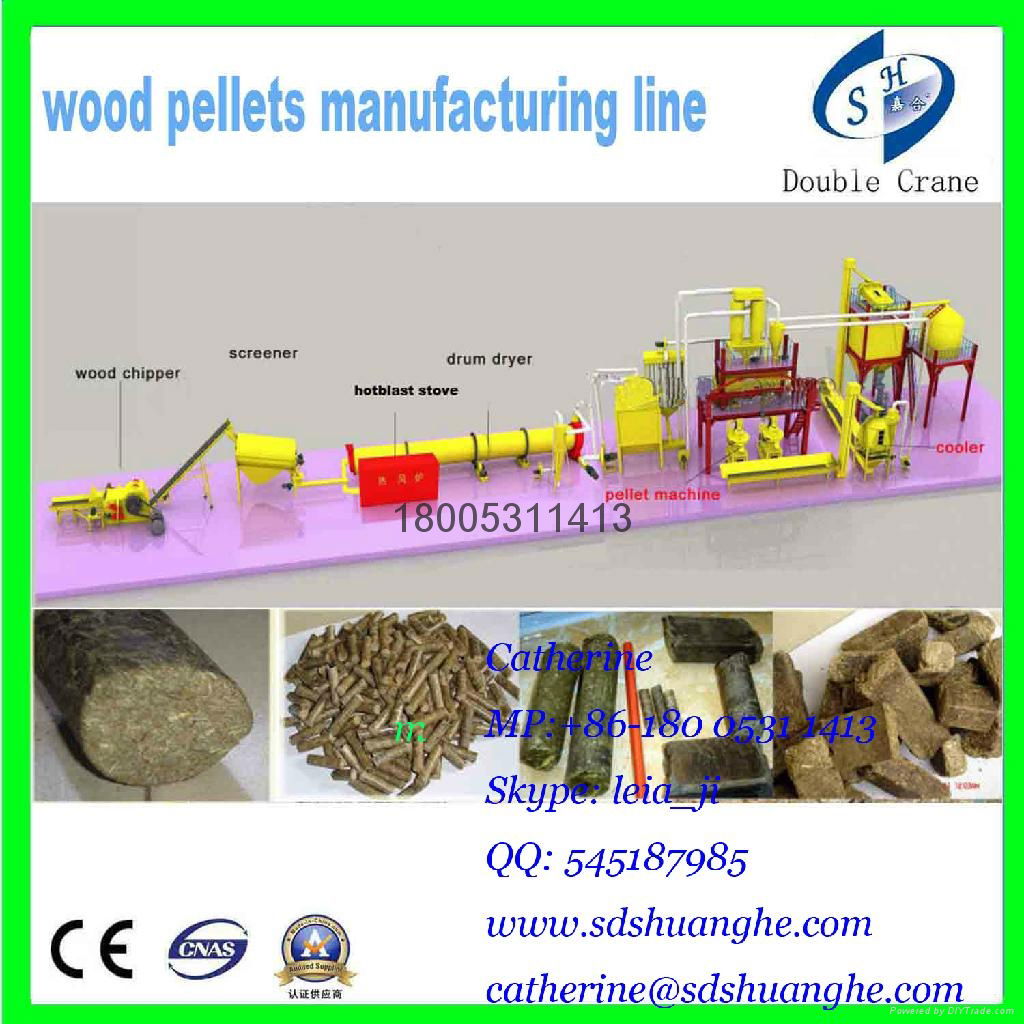 EFB(Palm or Trachycarpus fortunei) pellet mill line price 3