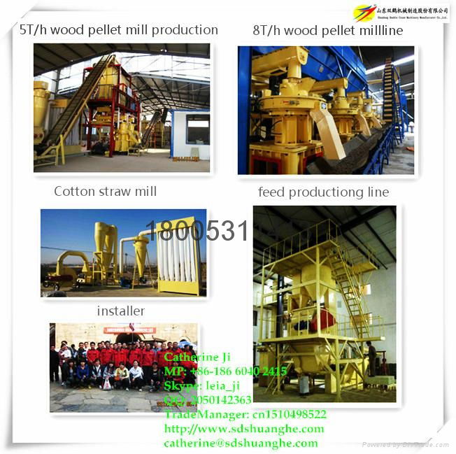 EFB(Palm or Trachycarpus fortunei) pellet mill line price 4