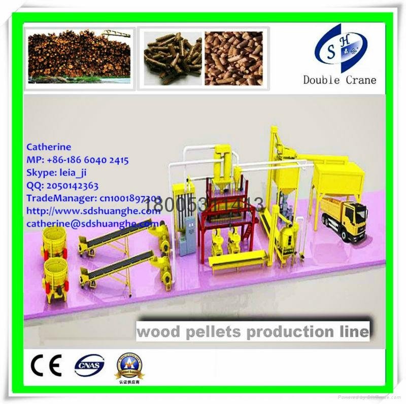 EFB(Palm or Trachycarpus fortunei) pellet mill line price 5