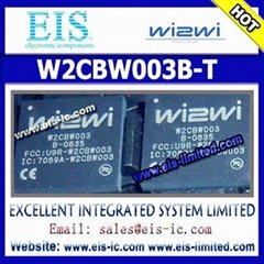 W2CBW003B-T - WI2WI - 802.11 b/g BluetoothTM System-in-Package
