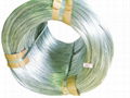 Galvanized Iron Wire  2