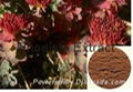 Rhodiola Extract