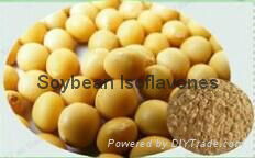 Soybean Isoflavones