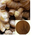 Ginger Extract 1