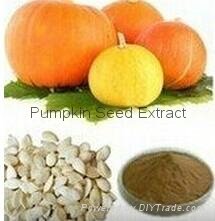 Pumpkin Seed Extract