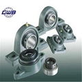 bearing units from China bearing industrial for block bearing