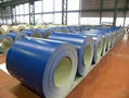 prepainted galvanized steel PPGI