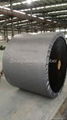 Nylon Conveyor Belts 5