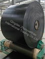 Heat resistant conveyor belt 3