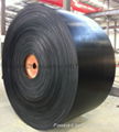 Fire resistant conveyor belt