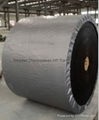 Fire resistant conveyor belt 3