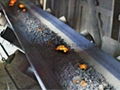 Fire resistant conveyor belt 5