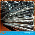 Roofing nail 1