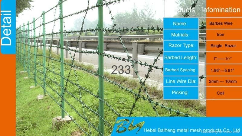 Anping export Barbed wire 2