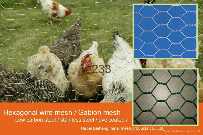 Anping hexagonal wire mesh 2