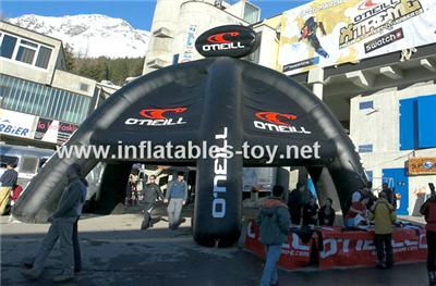 Outdoor Grey Inflatable Canopy 5