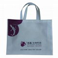 Non woven bag   4