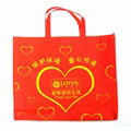 Non woven bag   1