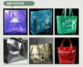 Laser Non woven Bag 5