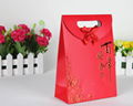 Promotion paper bag 5