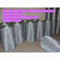 Hexagonal Wire Mesh 1