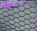 Hexagonal Wire Mesh 2