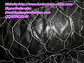 Hexagonal Wire Mesh 5