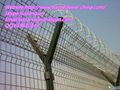 Flat Razor Barbed Wire 4