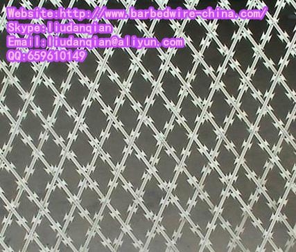 Linear Razor Barbed Wire 3