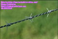 Double Twist Barbed Wire 1