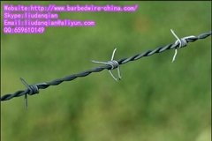 Double Twist Barbed Wire