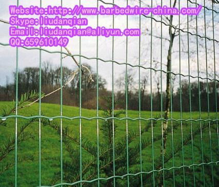 high quality euro fence 2