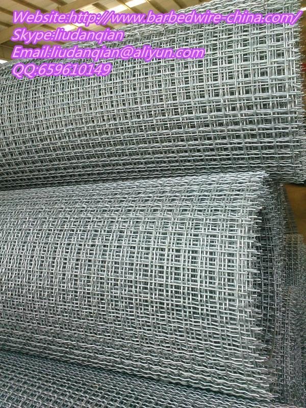 high quality crimped wire mesh 3