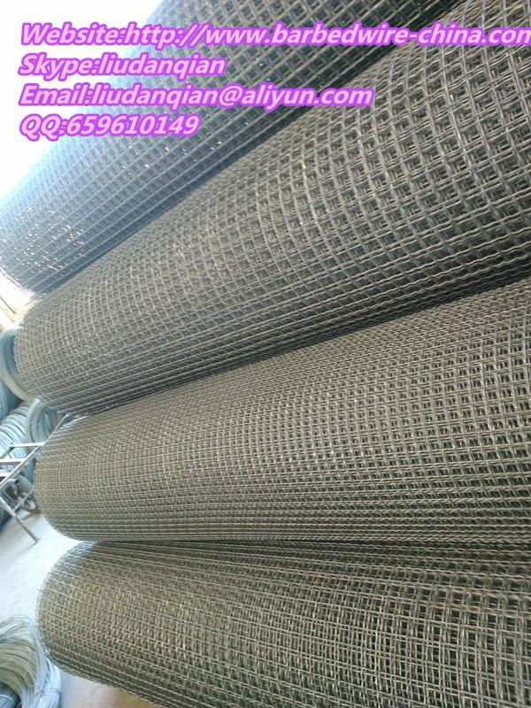 high quality crimped wire mesh 5