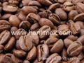 ROBUSTA COFFEE BEANS S13/S16/S18 3