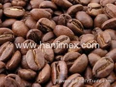 ROBUSTA COFFEE BEANS FROM VIETNAM