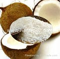 FAT DESICCATED COCONUT LOW PRICE