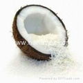 FAT DESICCATED COCONUT LOW PRICE WHOLESALE 2