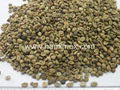 VIETNAM ROBUSTA COFFEE BEANS LOW PRICE WHOLEASALE 3