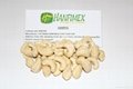 CASHEW NUTS HIGH QUALITY LOW PRICE FOR SALE