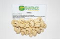 CASHEW NUTS HIGH QUALITY LOW PRICE FOR SALE 2