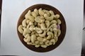 VIETNAM CASHEW NUTS LOW PRICE FOR SALE 3
