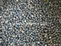 BLACK WHITE PEPPER WHOLESALE BEST PRICE 2